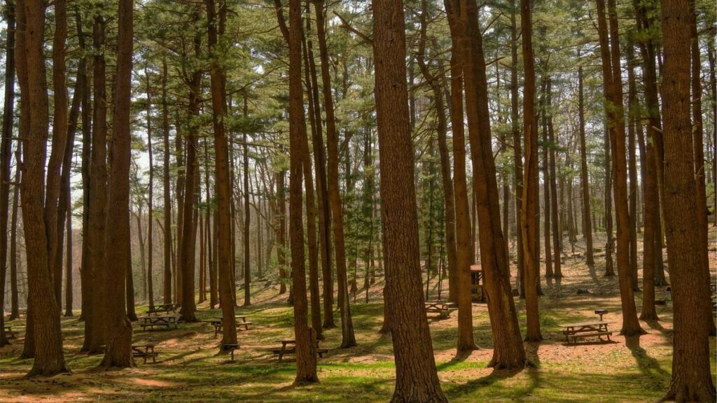 Digitale Vignette vs. Klebevignette: Welche Variante ist die bessere Wahl?